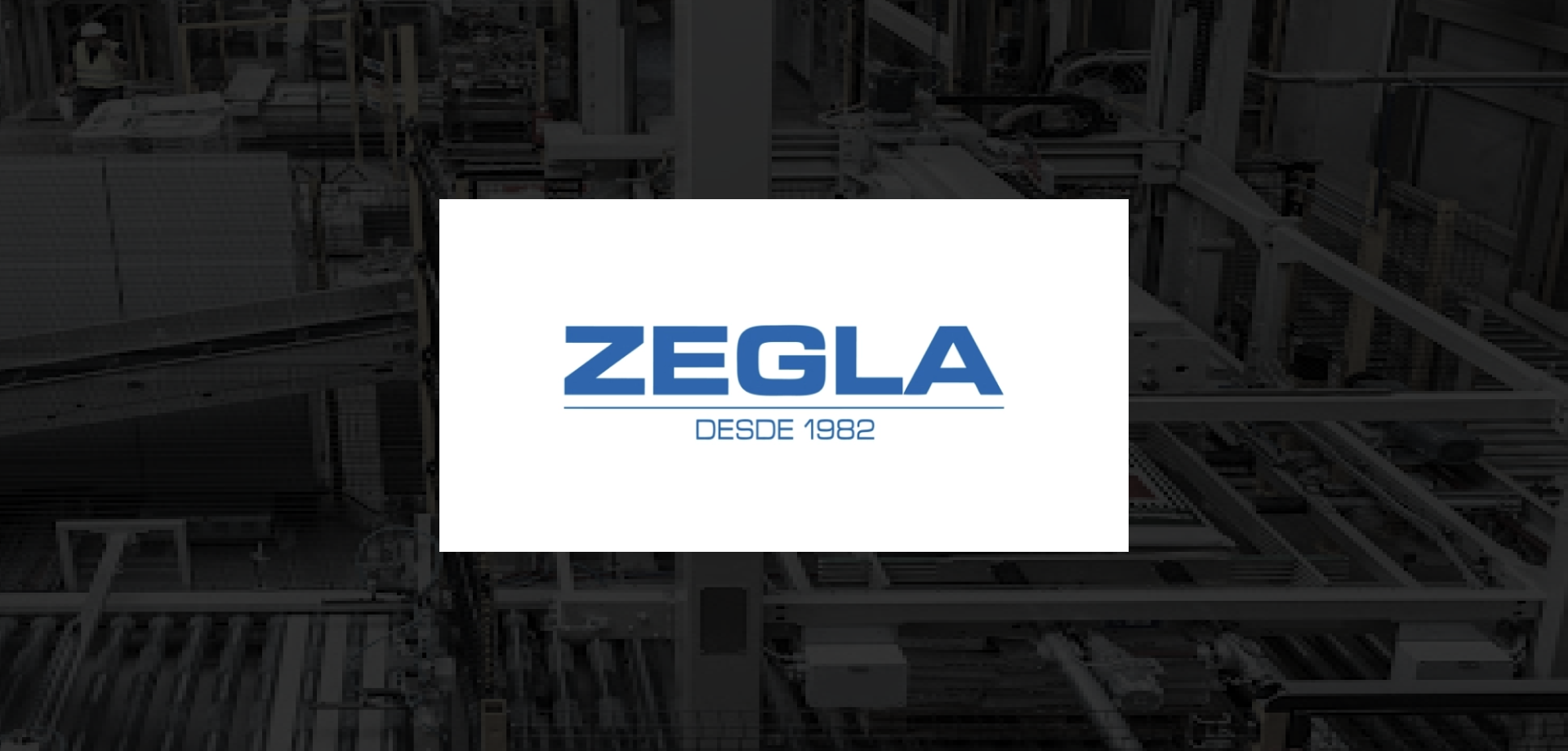 50_50_zegla.webp