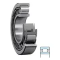 Cylindrical Roller Bearing - product-image-238