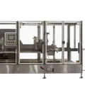 300E Drop Case Packer - 300E