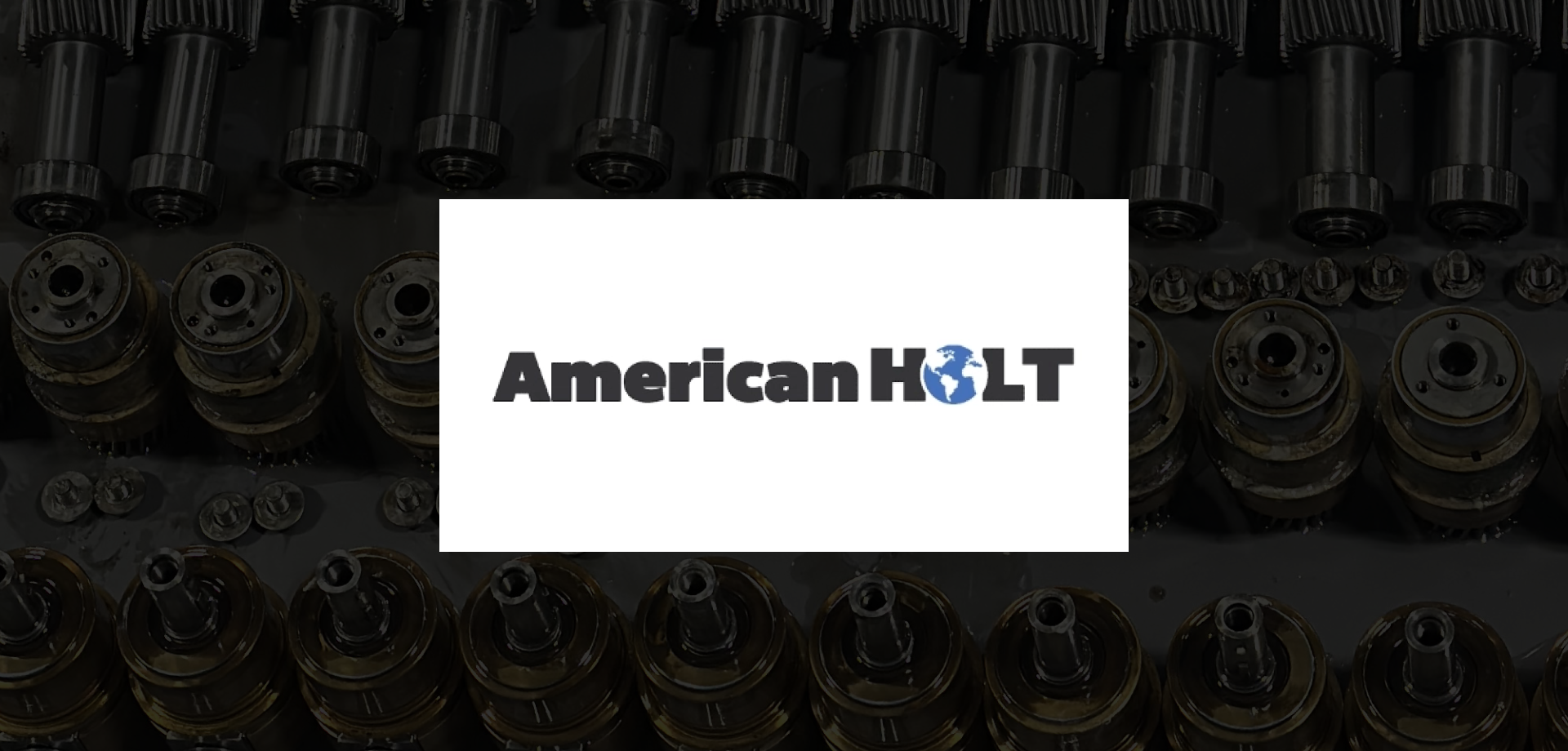 50_50_american_holt.webp