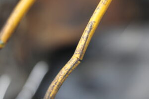 Sugar Wiring - Can-seamer Maintenance 
